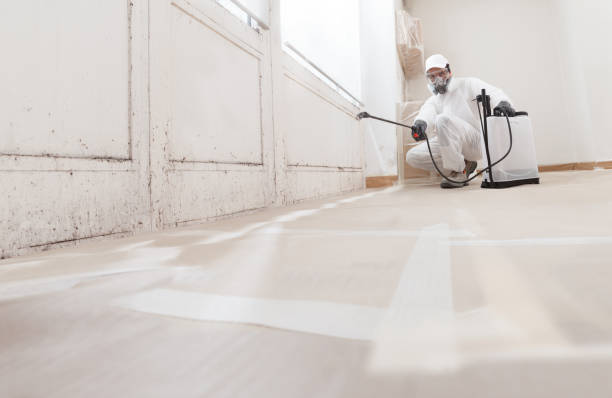 24/7 Emergency Mold Remediation experts in Rockwood, PA